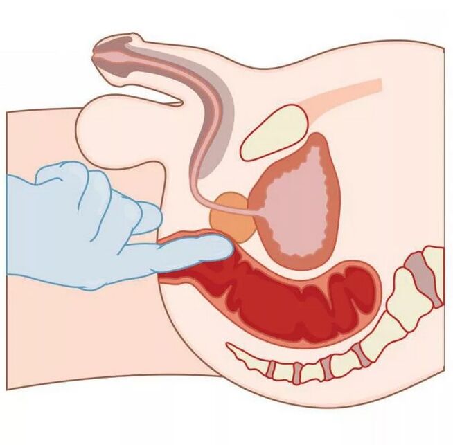Locația punctului G masculin