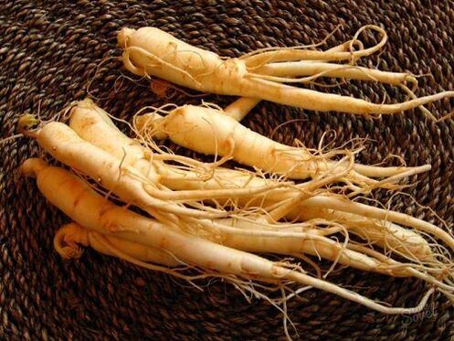 rădăcină de ginseng pentru a crește potența după 60 de ani
